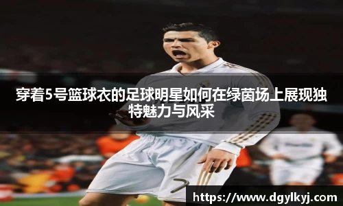 星空综合(中国)官方网站