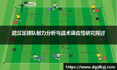 武汉足球队耐力分析与战术适应性研究探讨